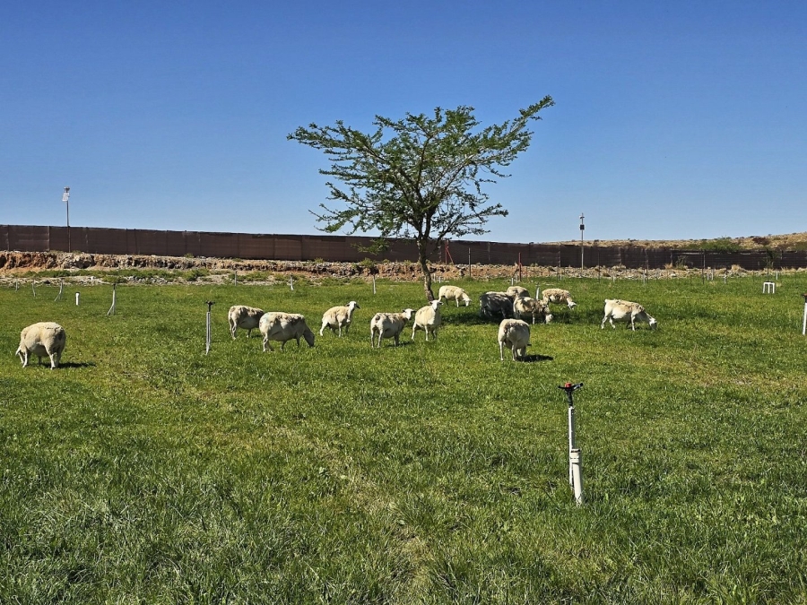 2 Bedroom Property for Sale in Upington Rural Northern Cape